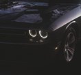 Champagne Cars
